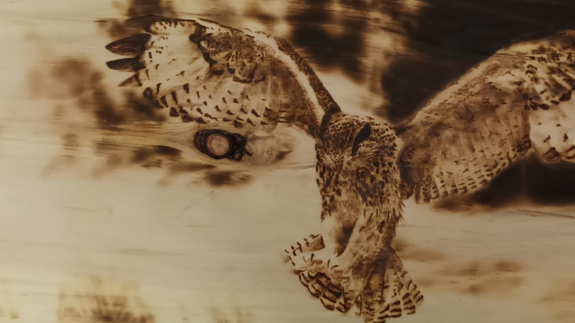 Gufo. Pannello in cirmolo gufo in volo. Pirografia, 2023.. Pirografia, 2023