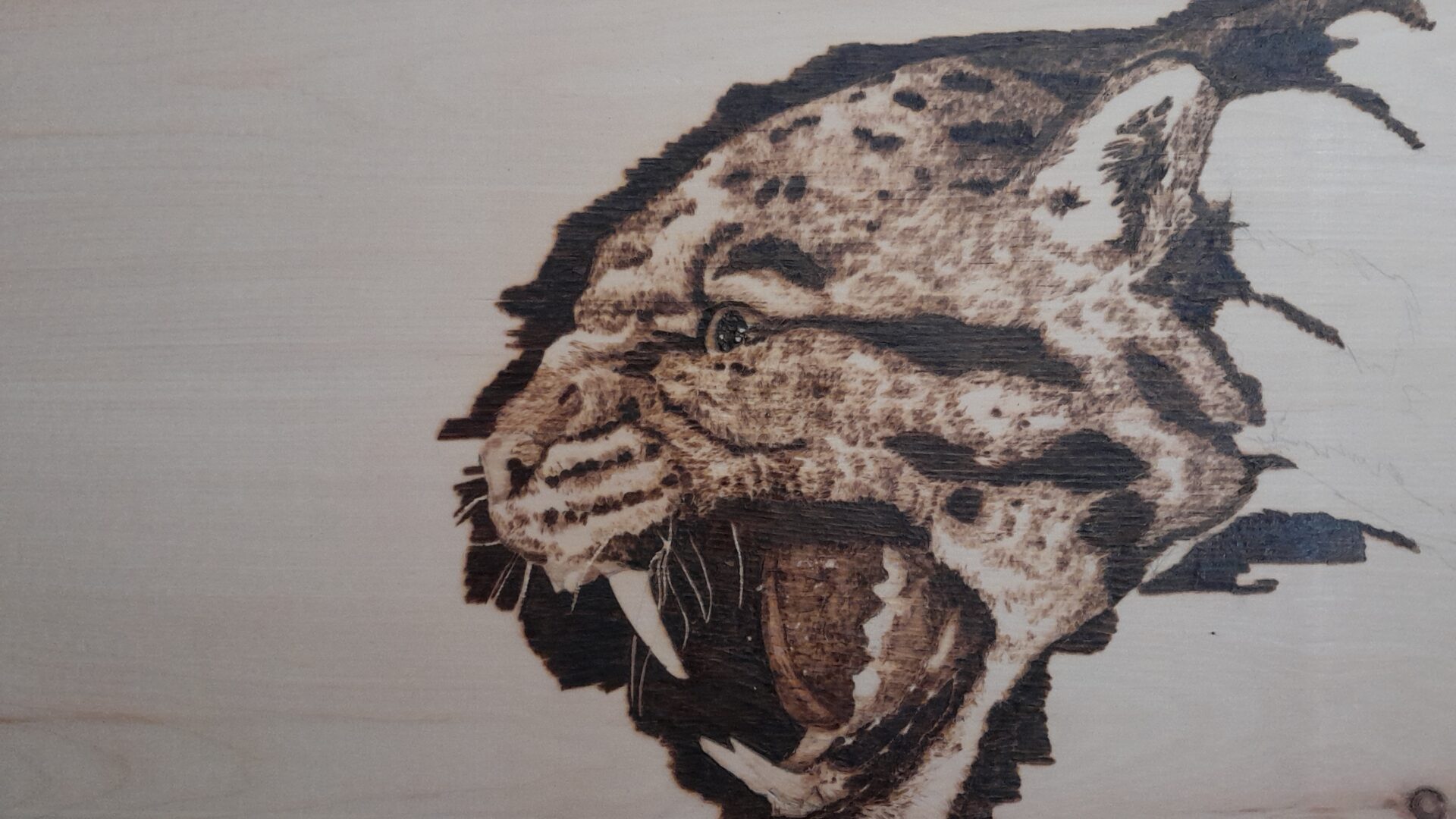 Leopardo maculato. Pirografia in corso su legno di cirmolo. Pirografia, 2022.. Pirografia, 2022