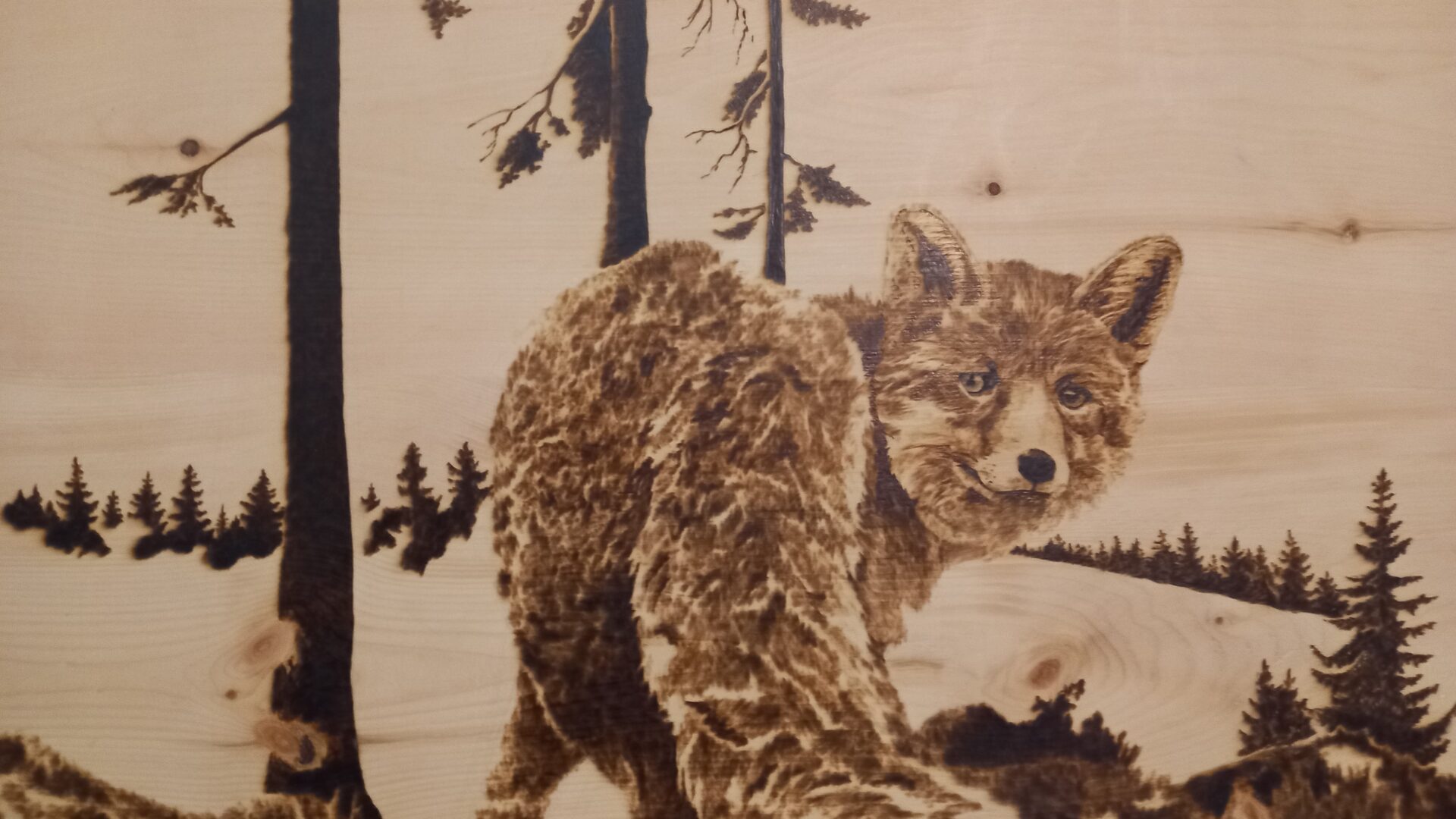 Volpe. Pannello in legno di cirmolo. Pirografia, 2022.. Pirografia, 2022